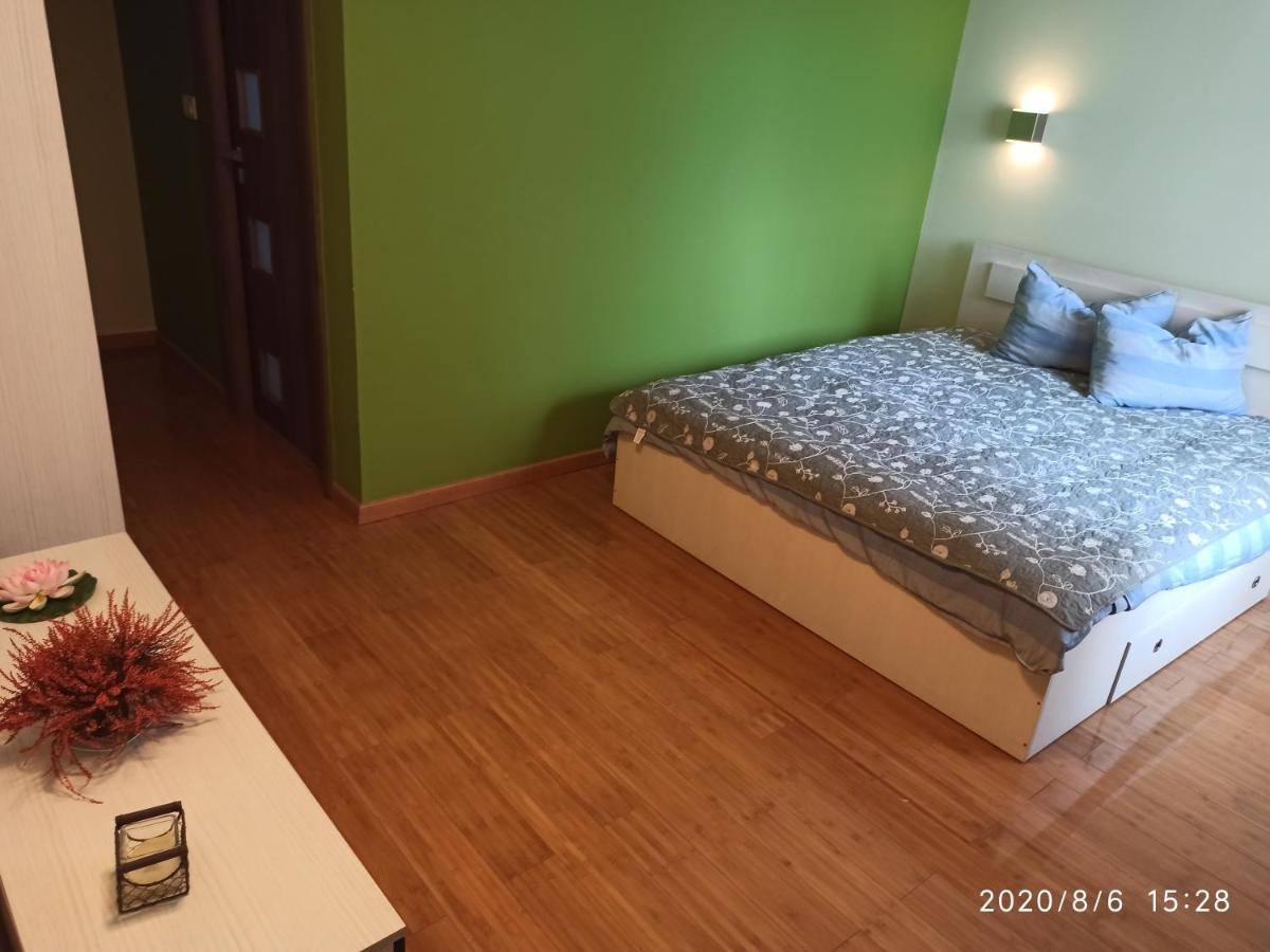 Casa Tiky 호텔 티미쇼아라 외부 사진